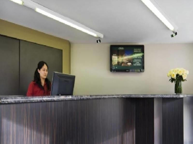 Medina Serviced Apartments North Ryde Sydney Zewnętrze zdjęcie